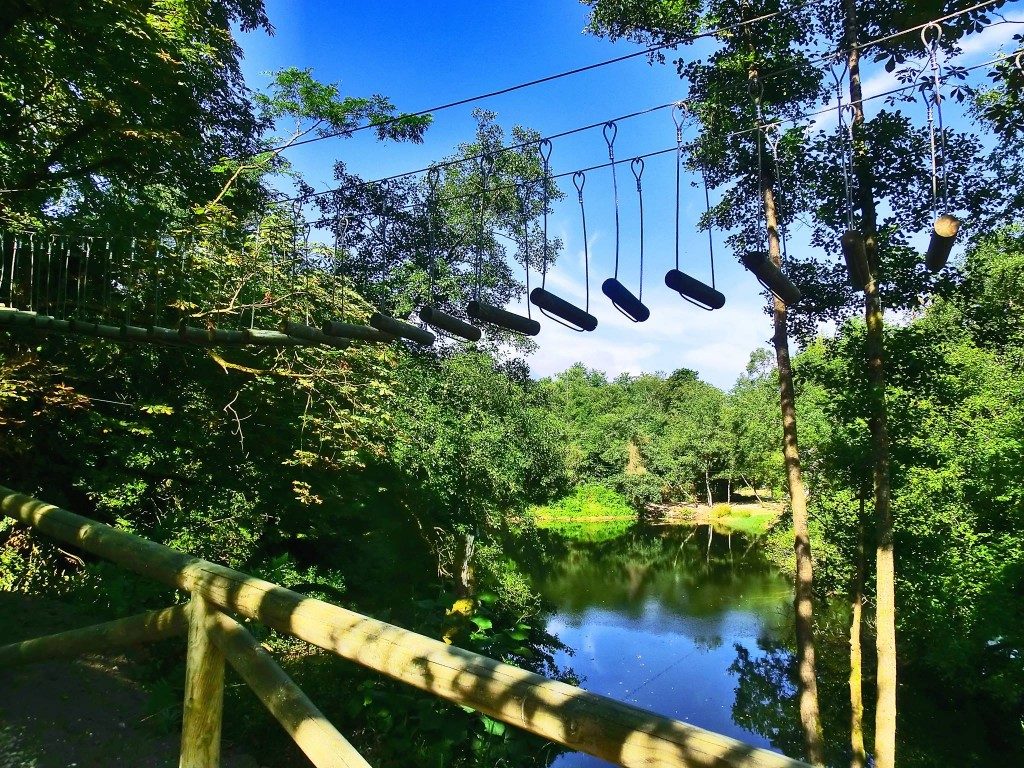 Parque de aventura. Selva Asturiana.